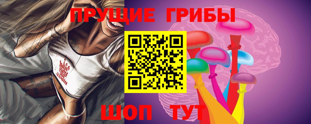 Псилоцибиновые грибы мицелий  купить наркотики цена  Свободный  Вход с VPN 
